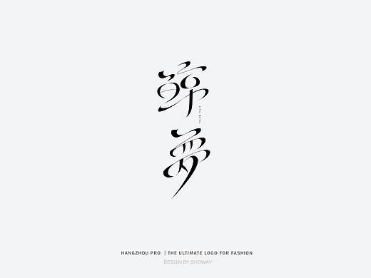 字体设计（一堆飞机稿）