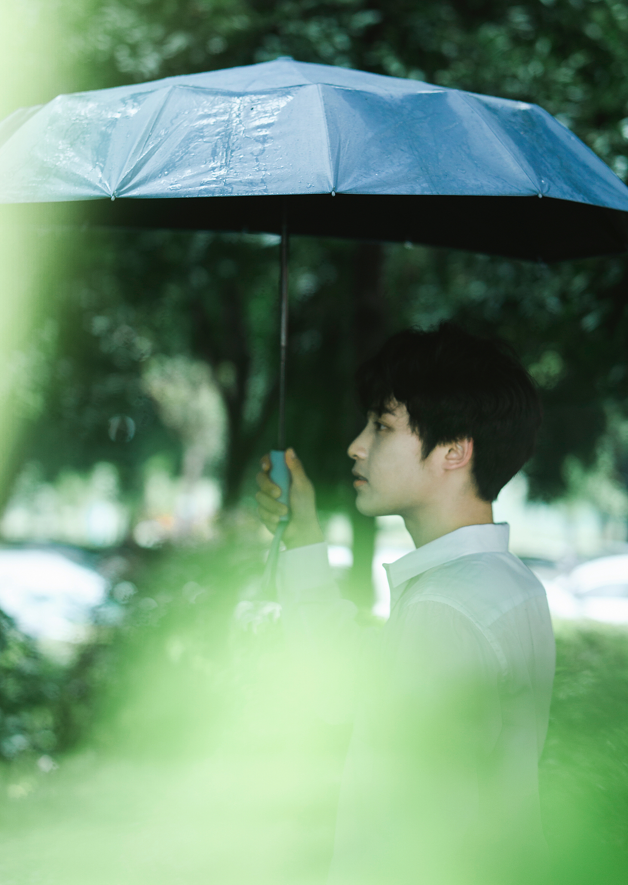 雨天的绿色也生机盎然