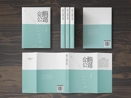 《企鹅公路》书封设计