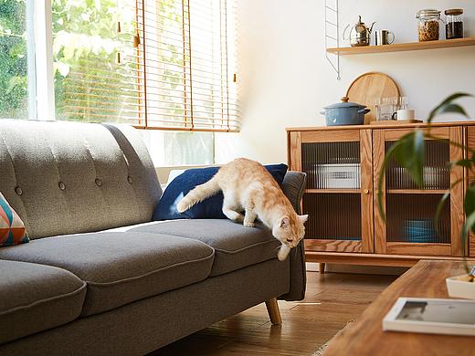 家具摄影|林氏木业&承与承广告传媒摄影棚自然光拍摄