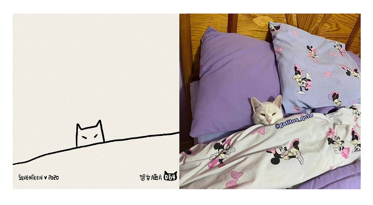 2020贺岁猫片（图ZMjg0OTExODg4） - 绘本 - 站酷设计师Seventeen曲寒冰原创素材 - 站酷ZCOOL