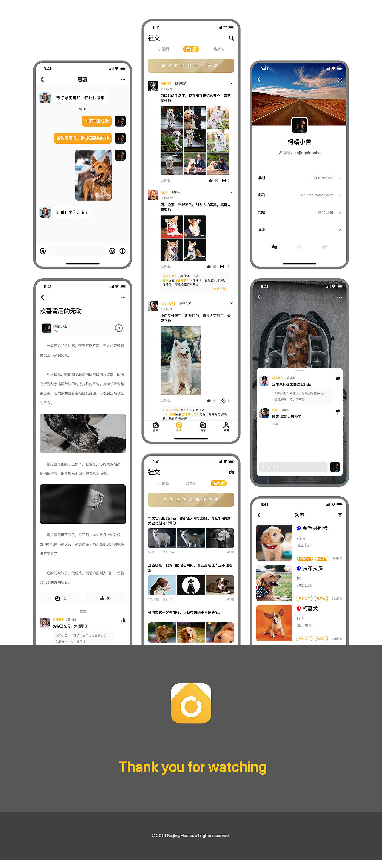 犬加 —— 它们缺个家,家里缺个它