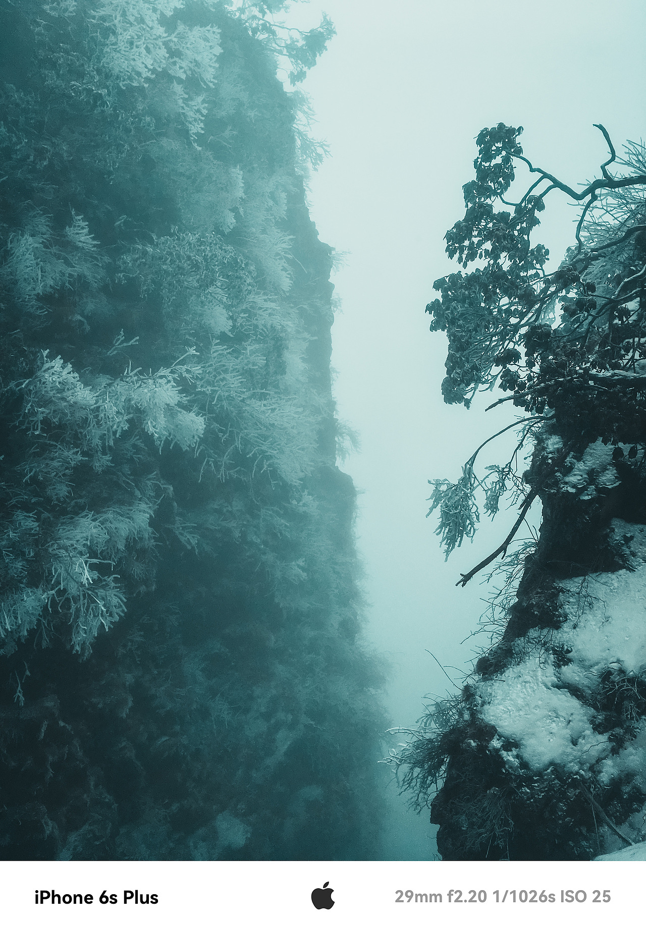 峨眉山冬日之旅,心灵与自然的邂逅