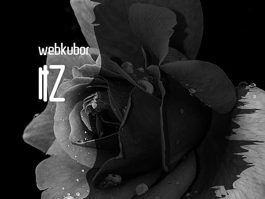 封面作品（个人主页-ZNDY1OTE5MTY=） - 海报 - 站酷设计师webkubor原创素材 - 站酷ZCOOL