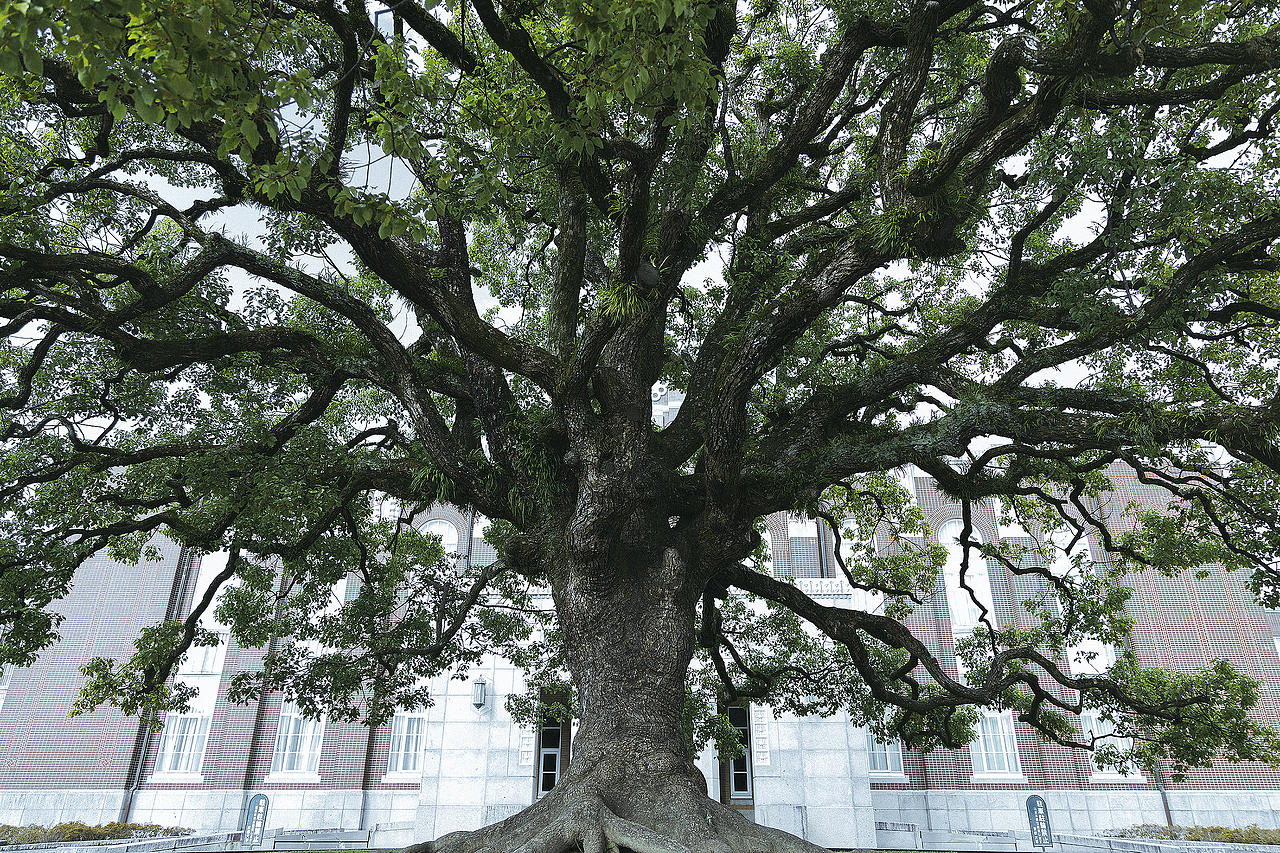 2019-关西跨年之行-2020