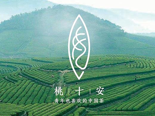 桃十安茶业品牌设计