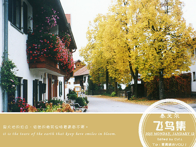 泰戈尔诗句节选《飞鸟集》