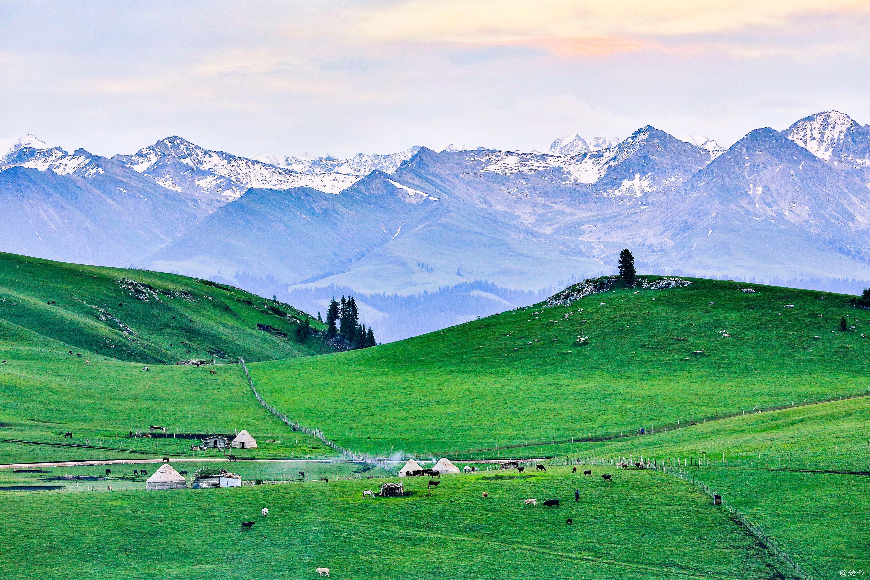 喀拉峻|摄影|其他摄影|电脑前旅游的女子 - 原创作品 - 站酷 (zcool)