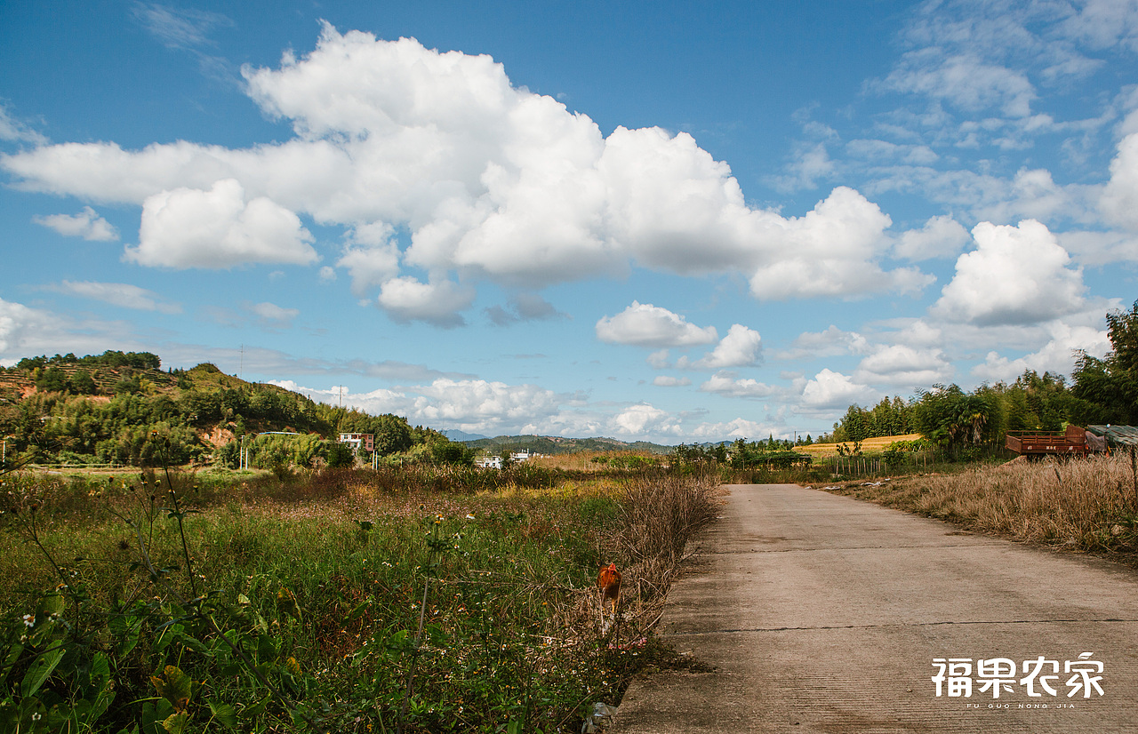 晴天,稻田里的野餐