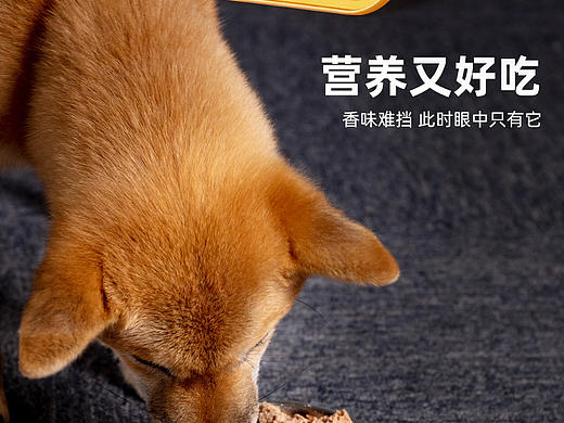 宠物罐头-狗