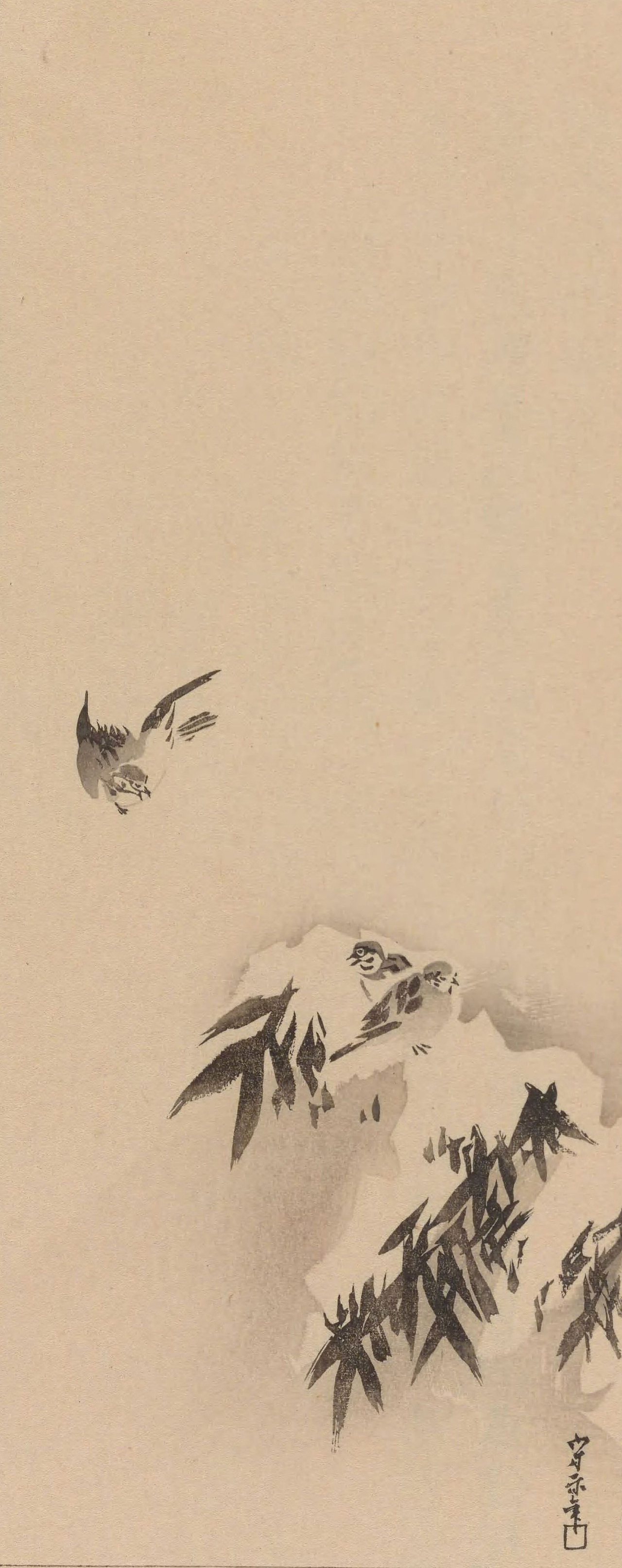 《心华帖》乙册插图欣赏