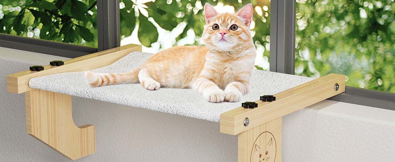 亚马逊设计I 亚马逊猫架主图/A+套图设计