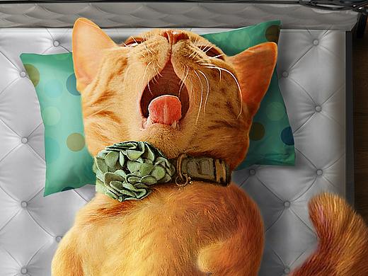 某床墊品牌參賽飛機稿（個人主頁-ZNTA4MTkwODQ=） - 海報 - 站酷設計師小米粥kris原創(chuàng)素材 - 站酷ZCOOL