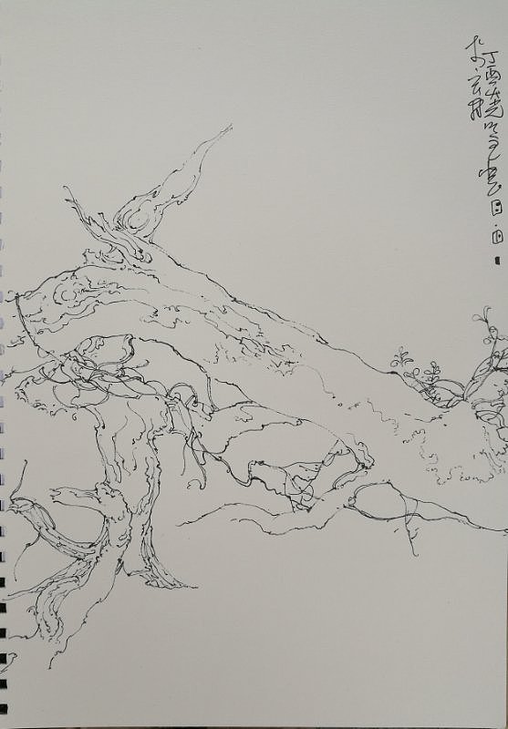 大光游记写生安徽（图ZODM0MzI5MzY=） - 绘画 - 站酷设计师大光明王原创素材 - 站酷ZCOOL
