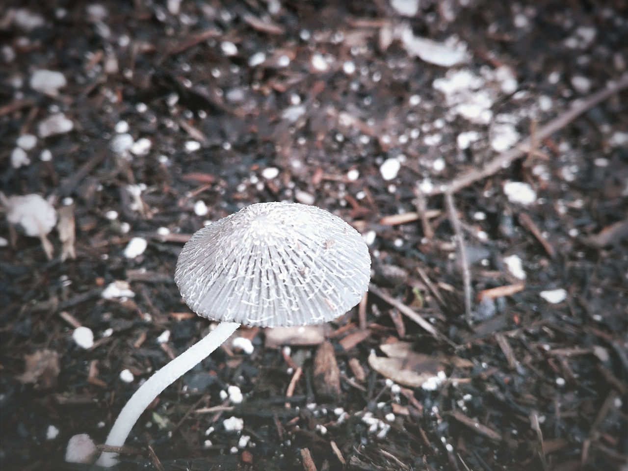 孤独（图ZNjQxOTA1MDQ=） - 风光摄影 - 站酷设计师Luckly燕燕原创素材 - 站酷ZCOOL