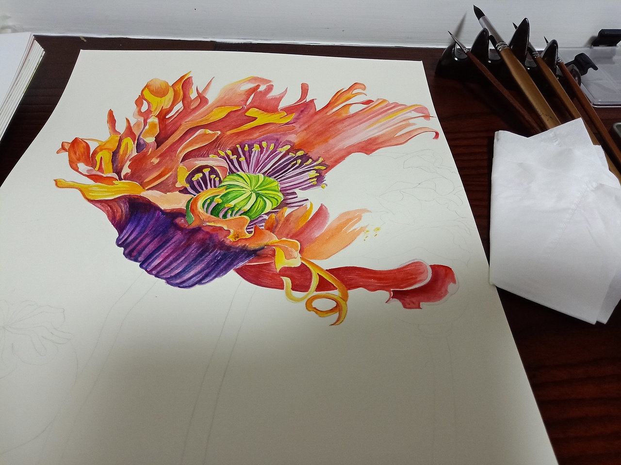 水彩◎罂粟花 致命的美丽