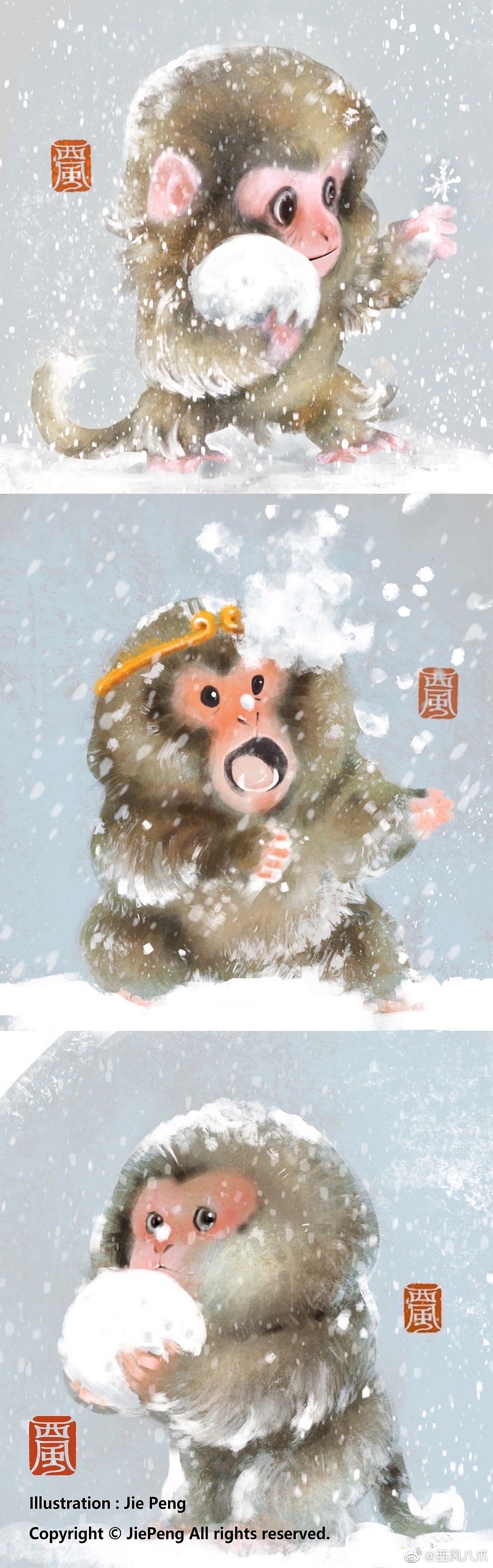 《阿柴枸杞》百犬小合集