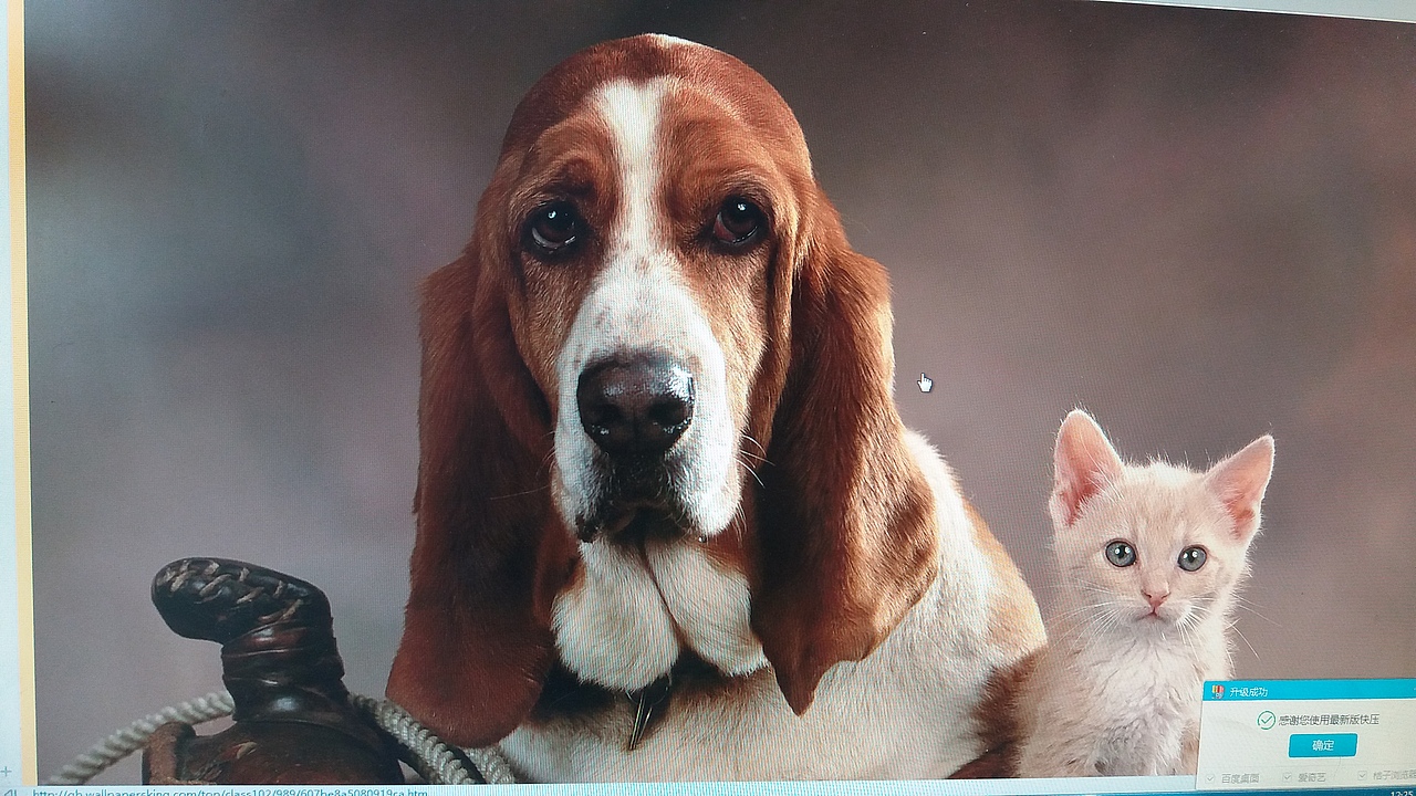 动物水彩画（图ZNTI3ODE0ODQ=） - 创作习作 - 站酷设计师萌萌细雨原创素材 - 站酷ZCOOL