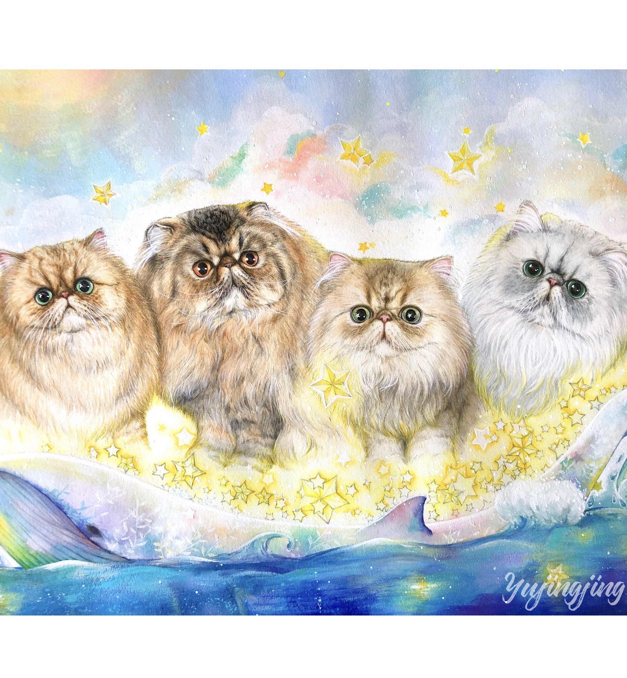 猫咪全家福——梦幻星之海
