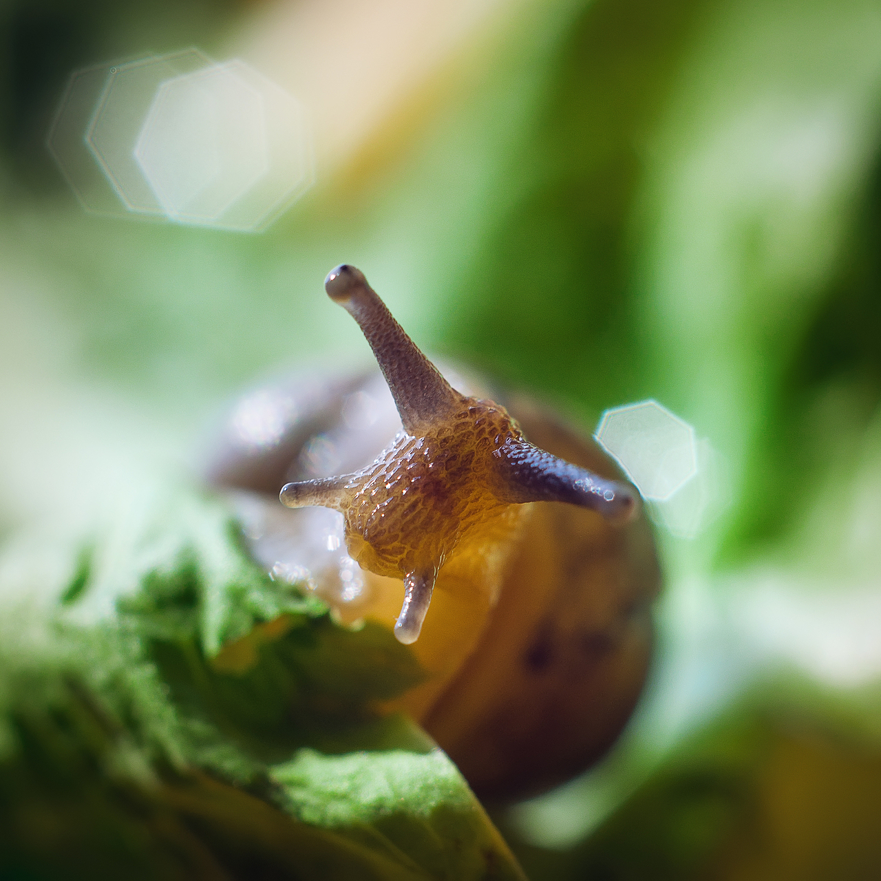 杂片籍[不间断更新]