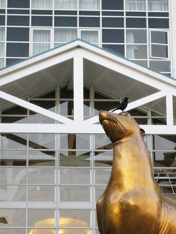 南非风光（图ZMzgxODA4MA==） - 风光摄影 - 站酷设计师citybadman原创素材 - 站酷ZCOOL