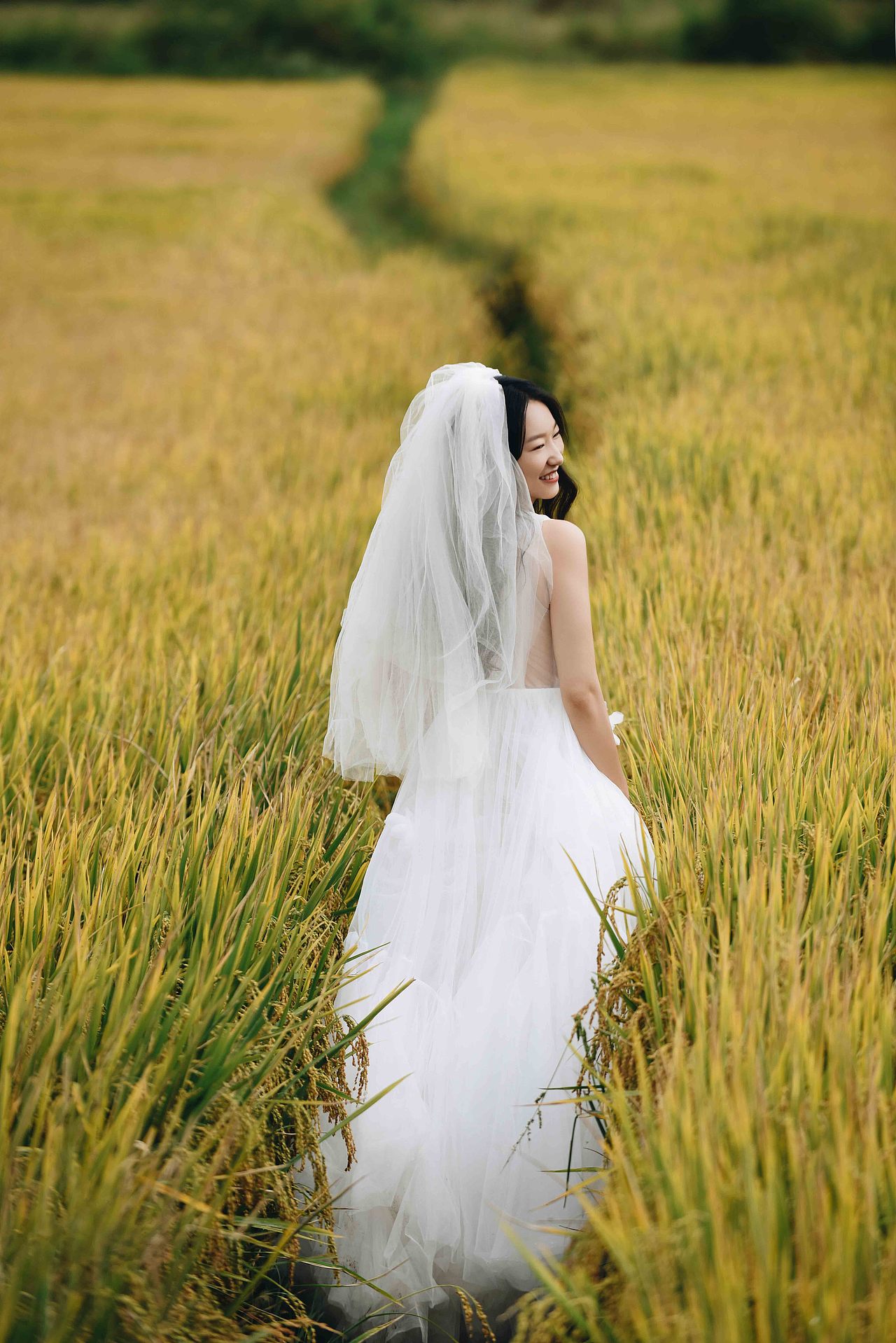 麦田和你（图ZMTgxNDA1ODI0） - 人像摄影 - 站酷设计师九鲤PHOTO原创素材 - 站酷ZCOOL