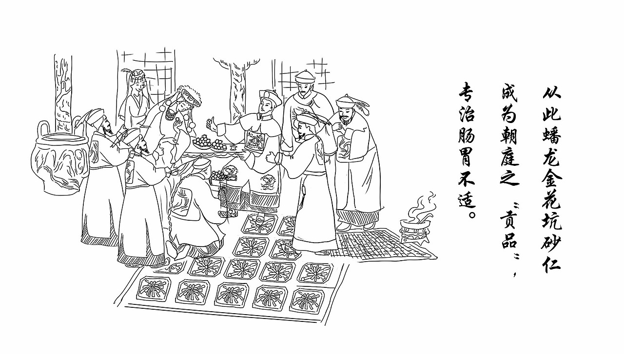 春砂仁 贡品传说 商业插画