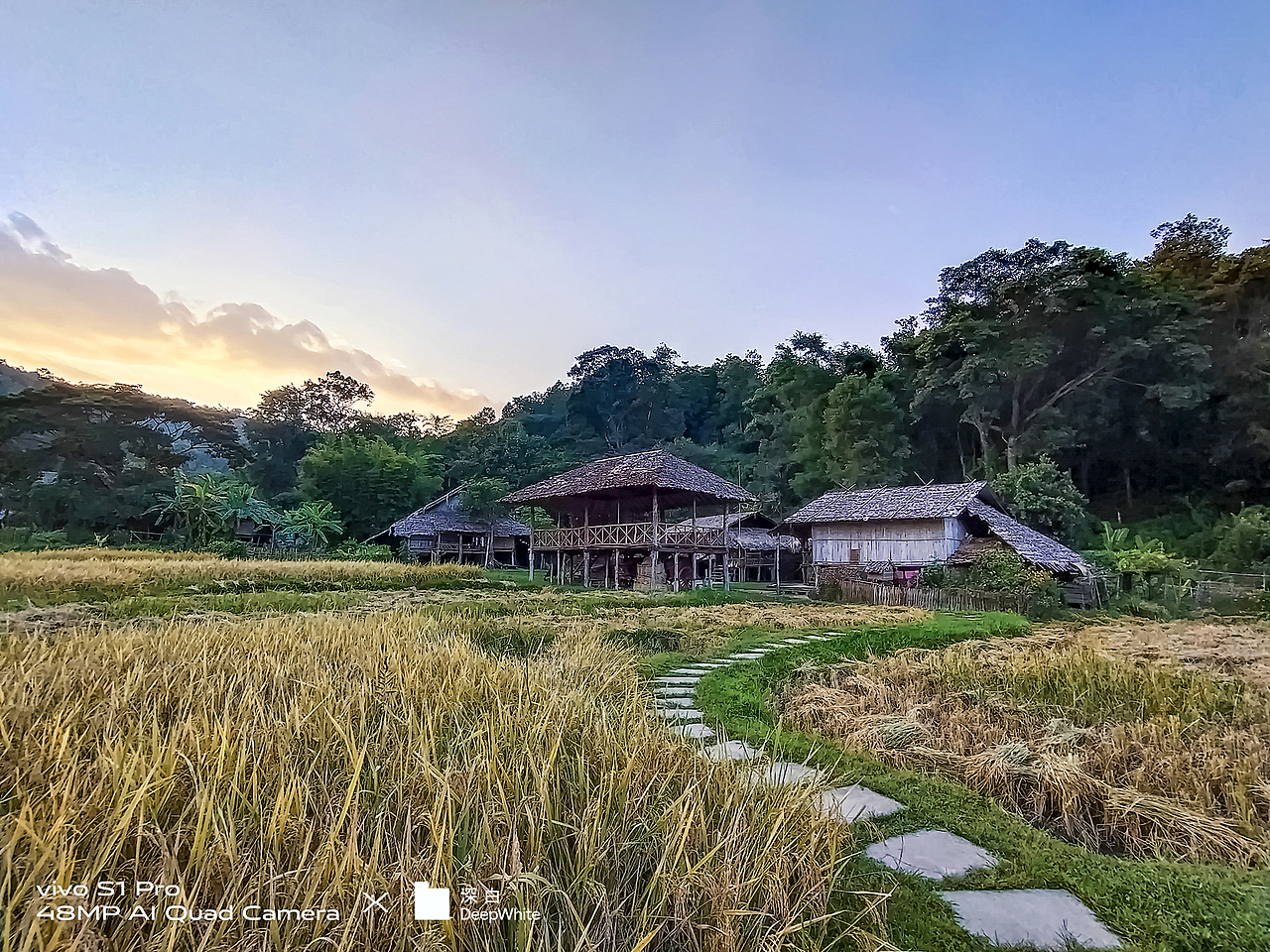 手机样张摄影|vivo S1 Pro ✖️ 深白DeepWhite