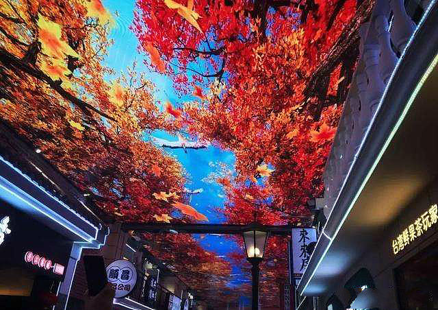 火爆全网 网红地铁站 天幕! 互动媒体装置 现货出租