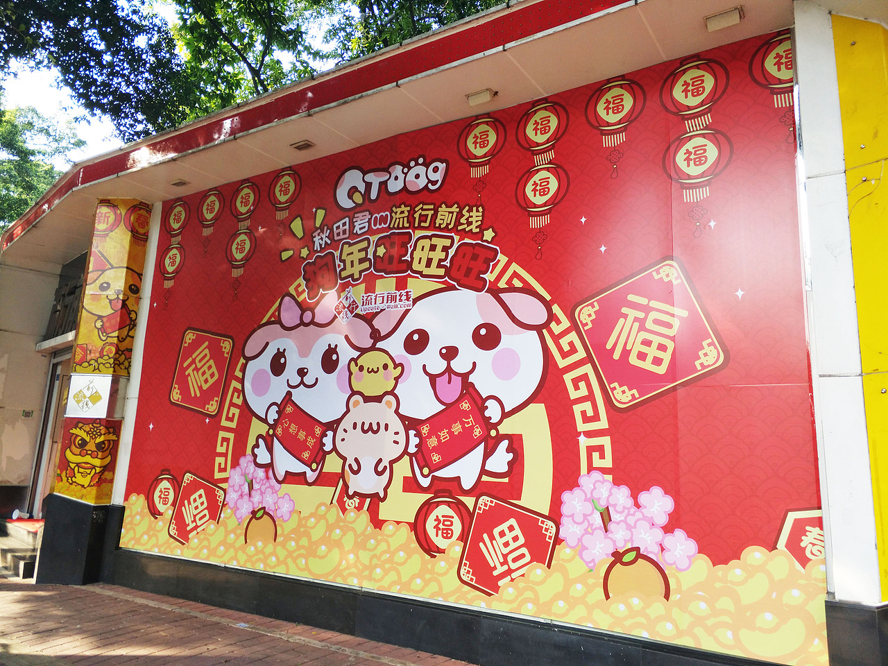 秋田君in流行前线过圣诞春节