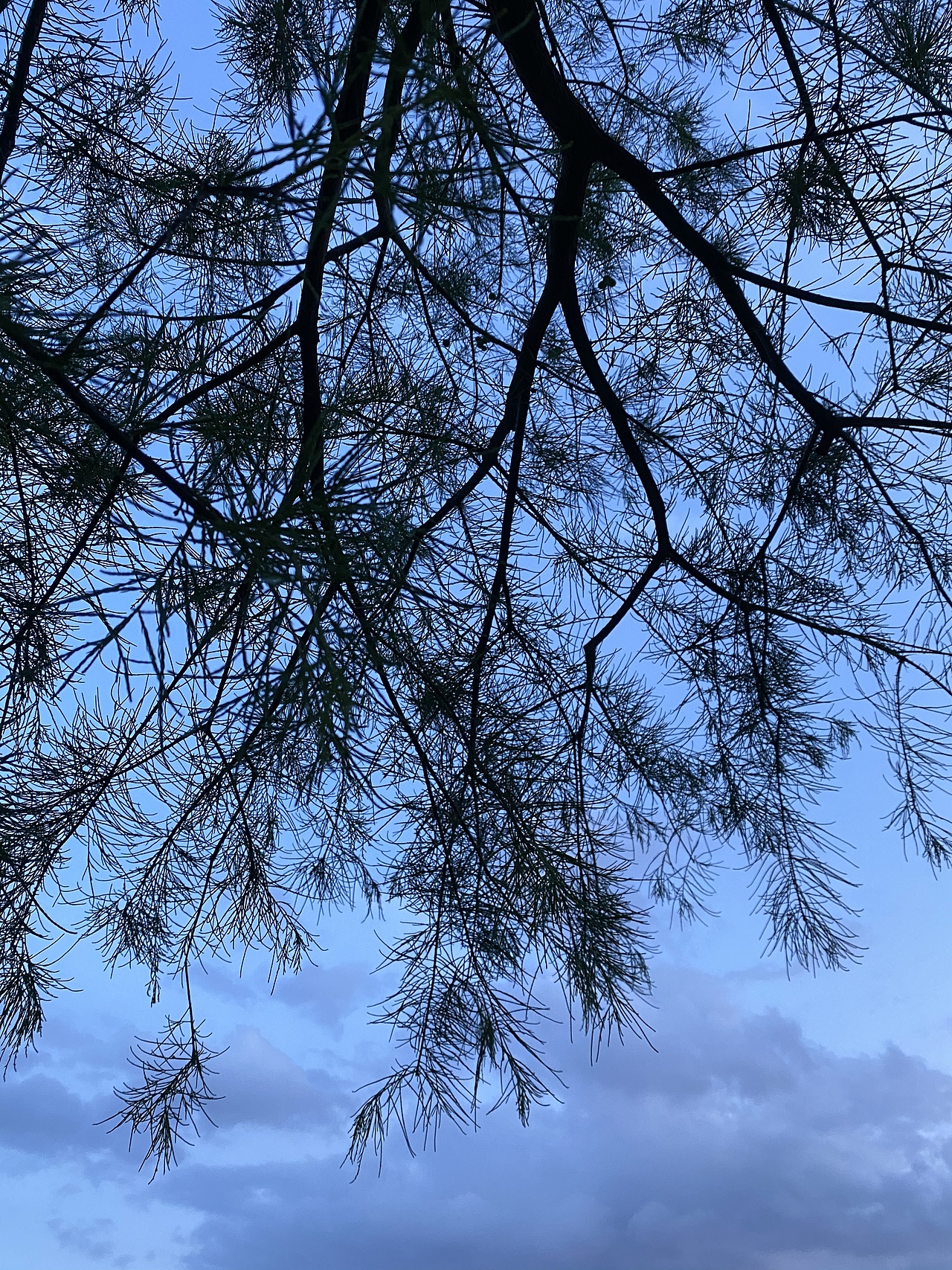 有蓝天白云也有乌云密布（图ZMjY1ODQ5MTAw） - 风光摄影 - 站酷设计师小让让原创素材 - 站酷ZCOOL