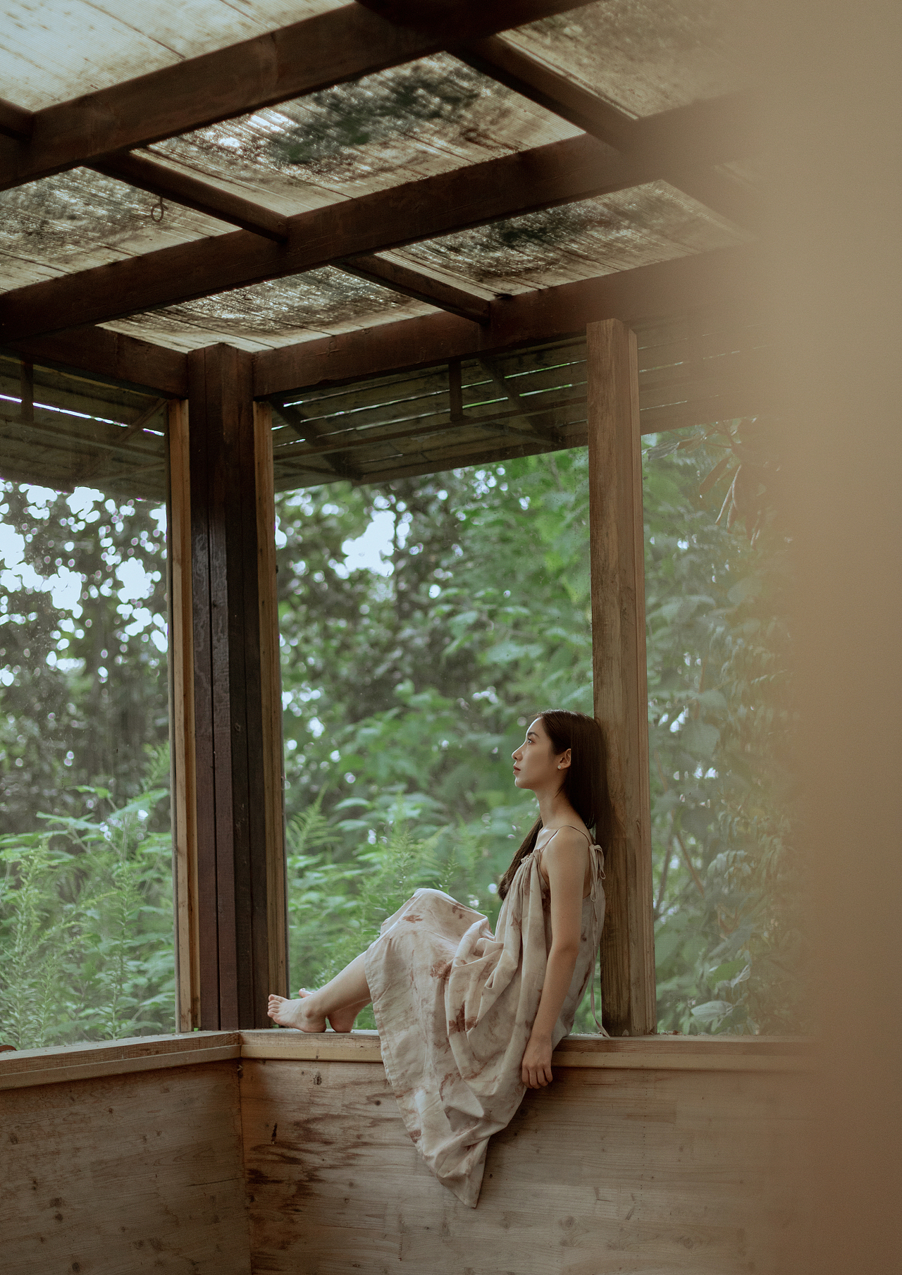 夏天最后的绿意