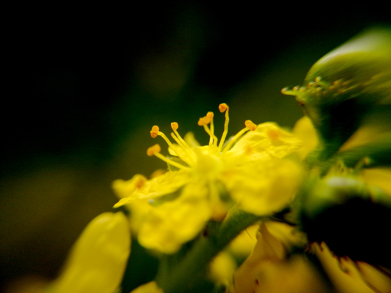 手机摄影拍拍拍~（图ZNTQyODcwMDA=） - 产品摄影 - 站酷设计师一大口黑锅原创素材 - 站酷ZCOOL