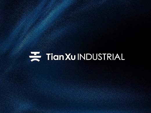 VI设计 | 天栩实业 | TIANXU | 品牌设计