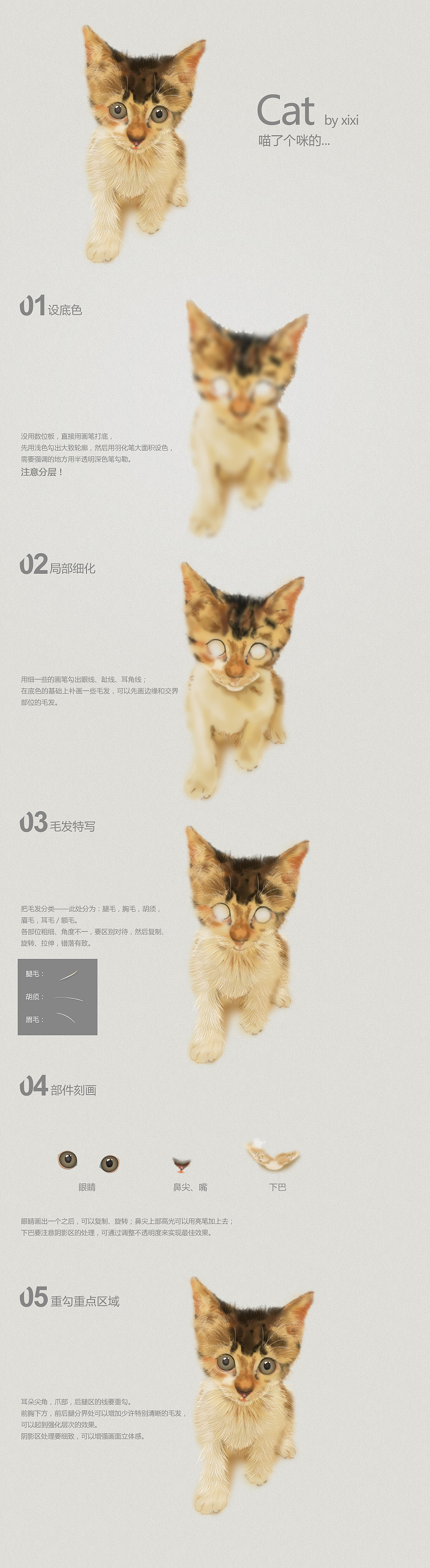 鼠绘__Cat,喵了个咪的…（图ZNjI4MTc0NA==） - 商业插画 - 站酷设计师_西西_原创素材 - 站酷ZCOOL