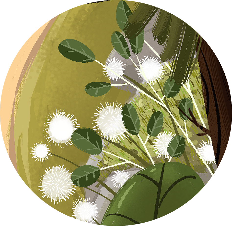 Explore。（图ZMTQxMjEwMzE2） - 儿童插画 - 站酷设计师撒迦利亚锡安锡安原创素材 - 站酷ZCOOL