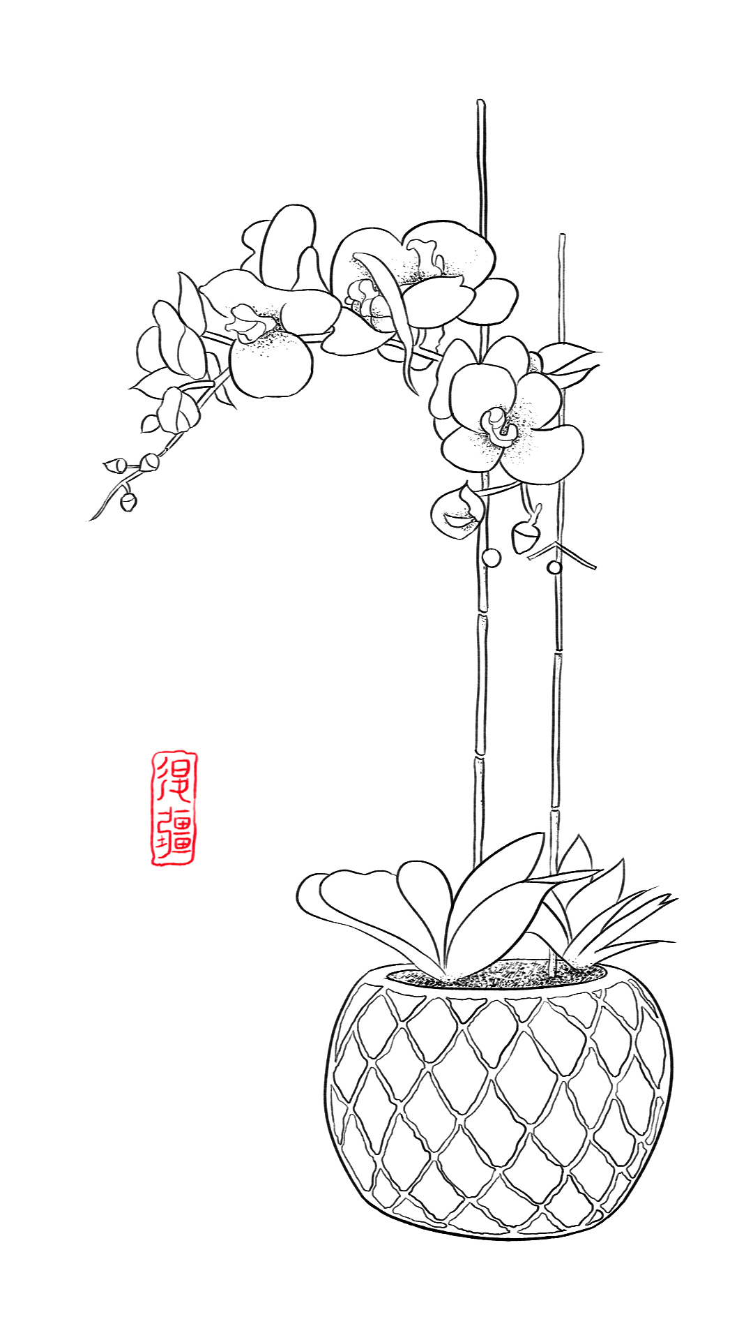 白菜升级记:第一篇