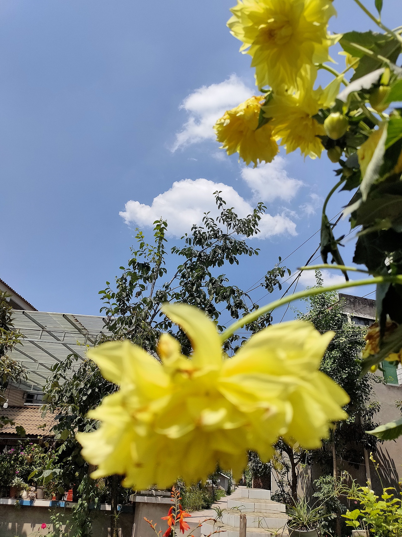 隨手拍（圖ZMjM3NTI2MDk2） - 風(fēng)光攝影 - 站酷設(shè)計(jì)師何處尋安暖原創(chuàng)素材 - 站酷ZCOOL