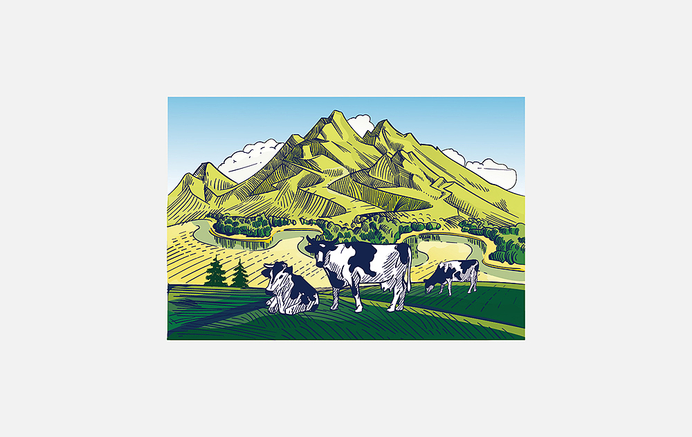 阿尔卑牧谷产品包装