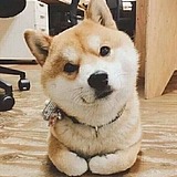 画画的陈默的头像
