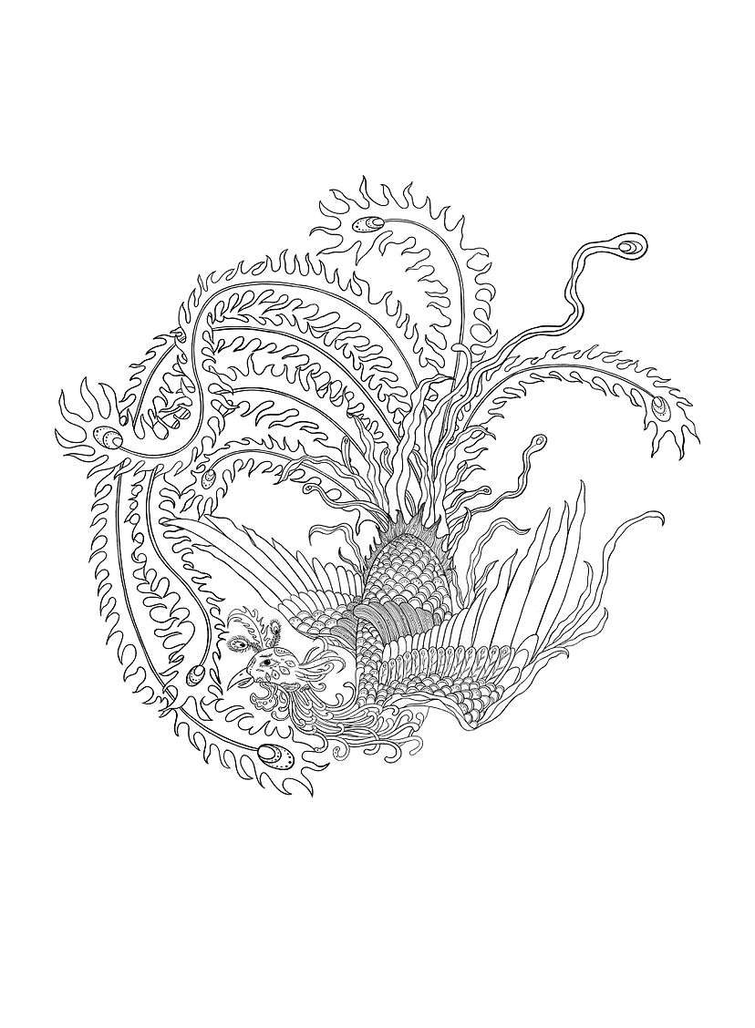 国风插画｜凤凰