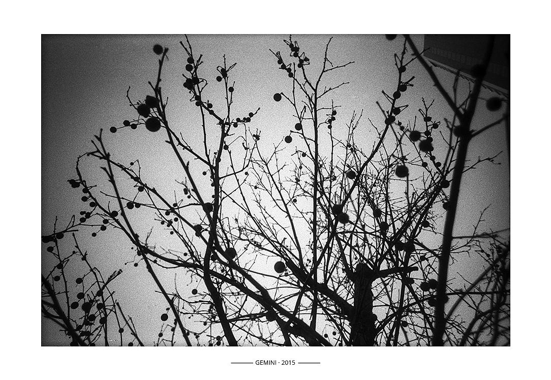 LOMO拍的第一卷黑白胶卷（图ZMjQzMTIzOTI=） - 人文/纪实摄影 - 站酷设计师gemini111126原创素材 - 站酷ZCOOL