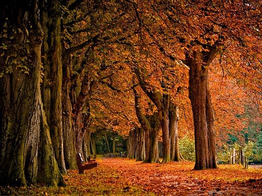 上海宝付揭秘不想花冤枉钱，方法很重要