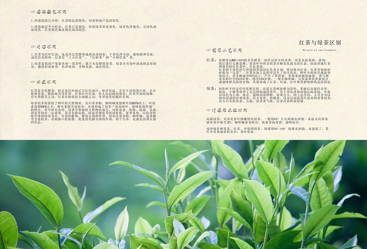 红茶（图ZMTAzMTgyMTQw） - 书籍/画册 - 站酷设计师Anny5230原创素材 - 站酷ZCOOL