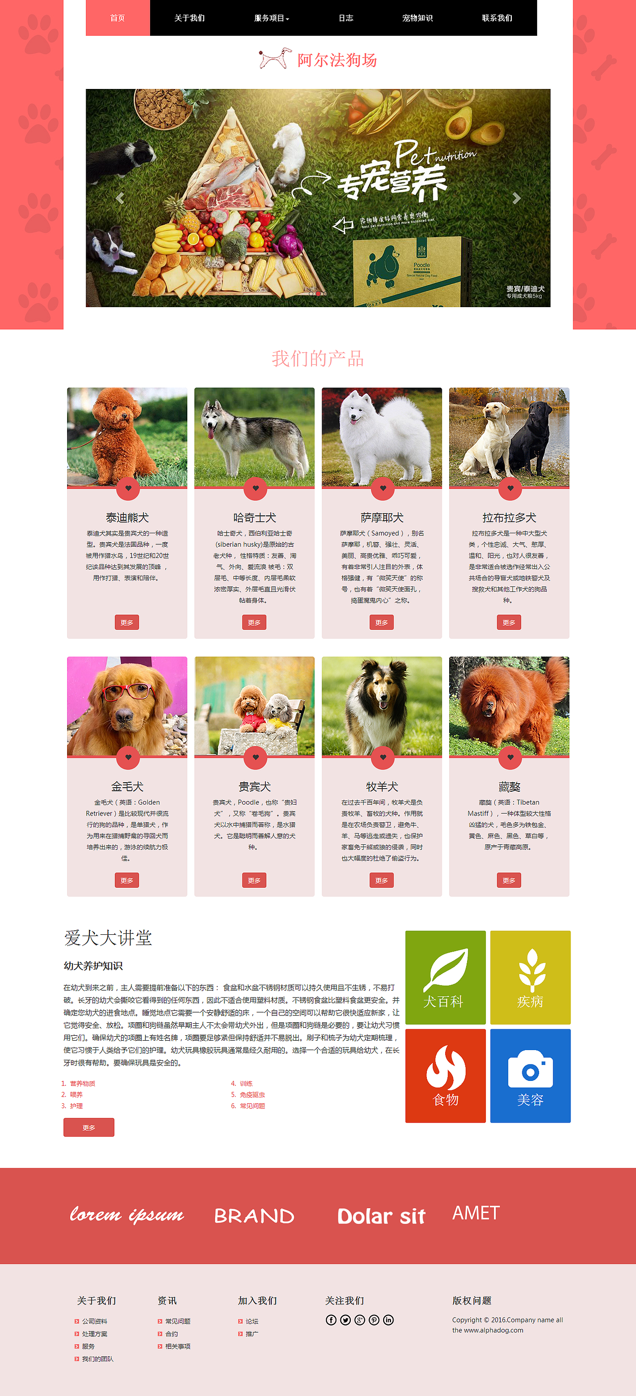 阿爾法狗場網(wǎng)頁設(shè)計（圖ZNDY5MDU2OTI=） - 企業(yè)官網(wǎng) - 站酷設(shè)計師UI悟空原創(chuàng)素材 - 站酷ZCOOL