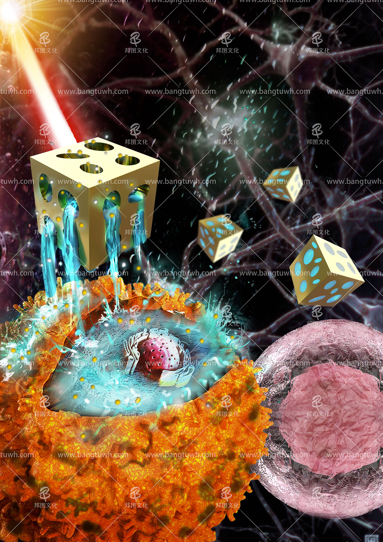 邦图科研绘图SCI画图学术杂志封面设计示意图医学动画