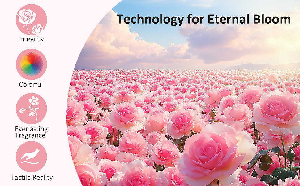 永生花亚马逊主副图A+设计