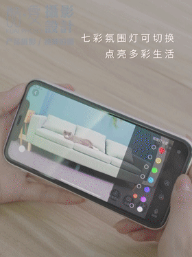 深圳宠物产品视频拍摄 龙岗激光逗猫器视频摄影