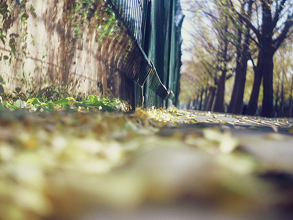 2012年11月 银杏/三里屯/双反