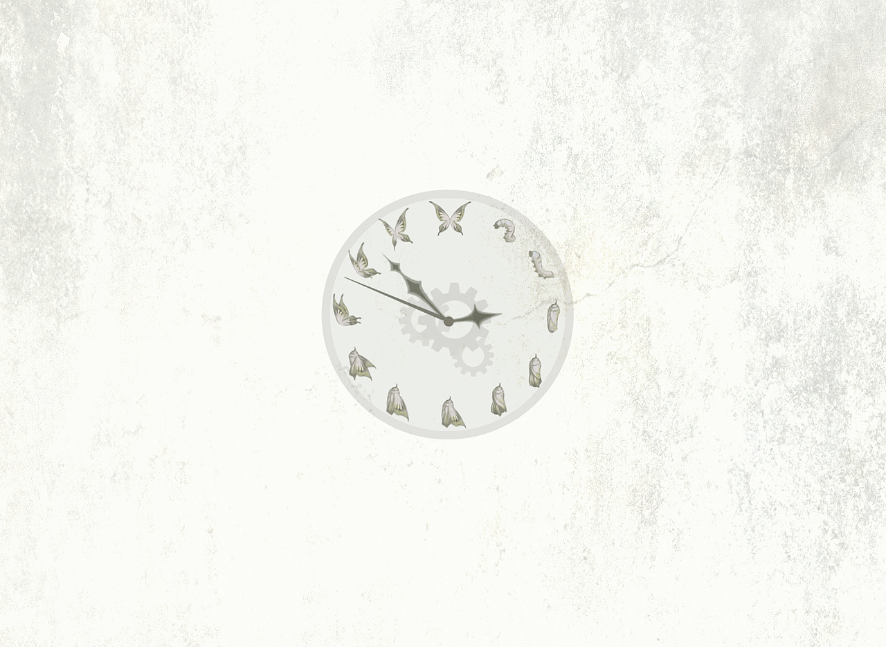 时间之行——“行走”在时间齿轮上的蝴蝶